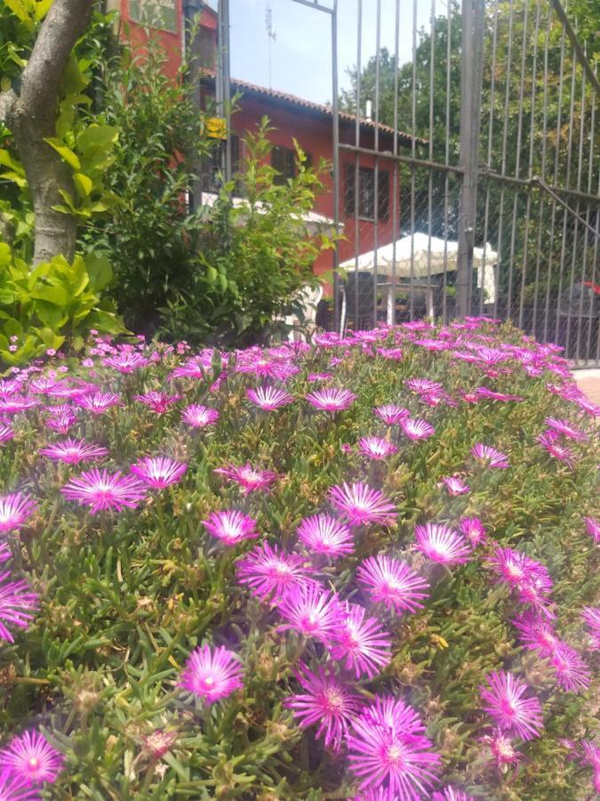 San Damiano dʼAstiMosci'S Bed & Beer住宿加早餐旅馆 外观 照片